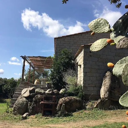Vakantiehuis Village Sheepfold With Large Garden Porto-Vecchio (Corsica)