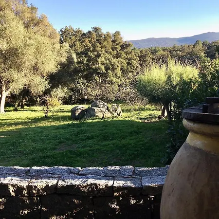 Village Sheepfold With Large Garden Vakantiehuis Porto-Vecchio (Corsica)
